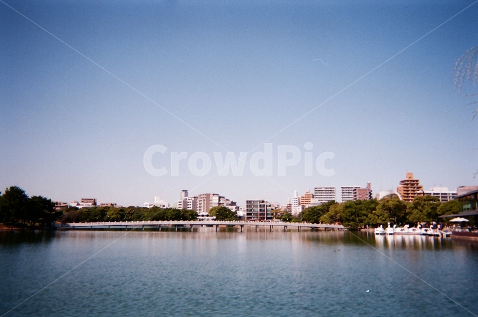 일본,공원,호수,park,lake자연,도시,풍경,city,landscape