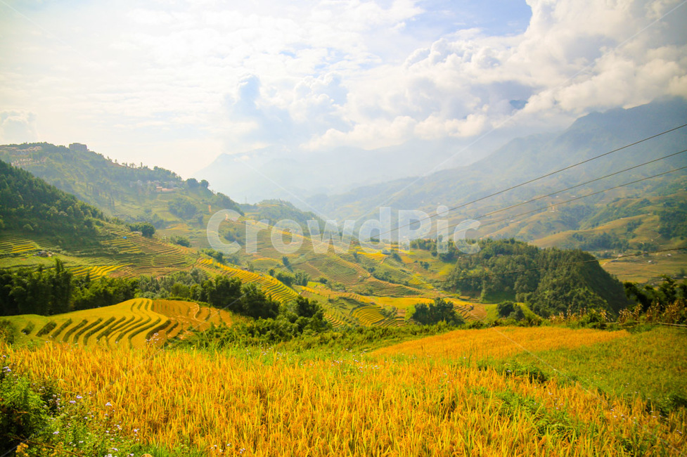 사파,베트남,vienam,sapa,풍경,자연,풍경,nature,landscape,해외,외국,세계,foreign,oversea,world,세계자연풍경,해외자연풍경,외국자연풍경,world nature landscape,outdoors,옥외