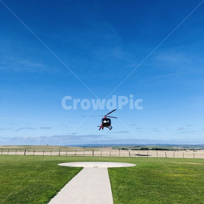 헬리콥터,비행기,하늘,헬기,차량,교통,항공기,잔디,식물