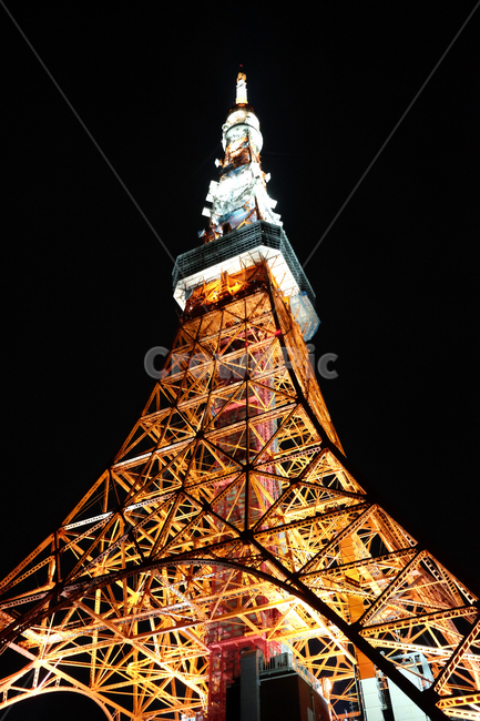 architecture,건축물,building,건물,tower,탑,도쿄타워,타워,야경