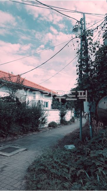 시골,거리,시골길,배경,풍경,path,도시