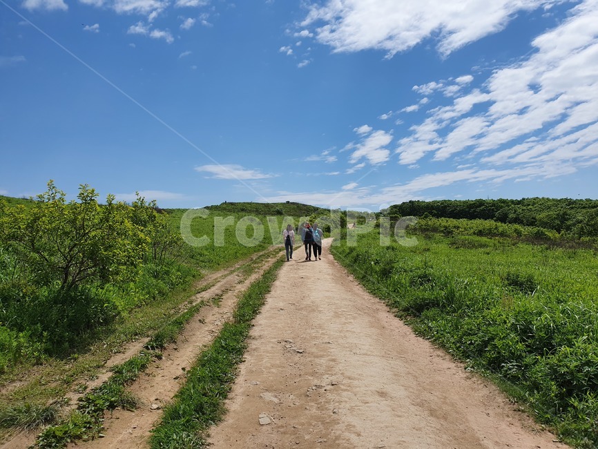 산책,tracking,트래킹,outdoors,옥외,nature,자연,길,road