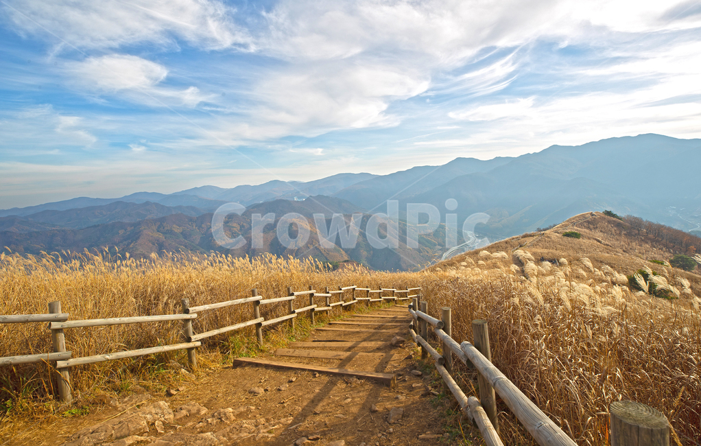 하늘,들판,갈대,민둥산,nature,자연,outdoors,옥외,길,가을,계절,fall,autumn,season,자연,풍경,nature,landscape,한국자연풍경,한국자연경관,korea nature landscape