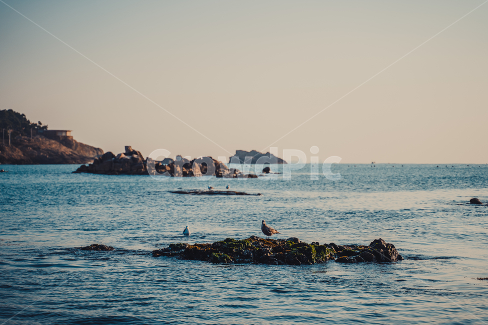 water,물,어촌,일출,여명,어촌풍경,바다,sea,sunrise,sun,sky,ocean,파도,wave,갈매기,자연,풍경,nature,landscape