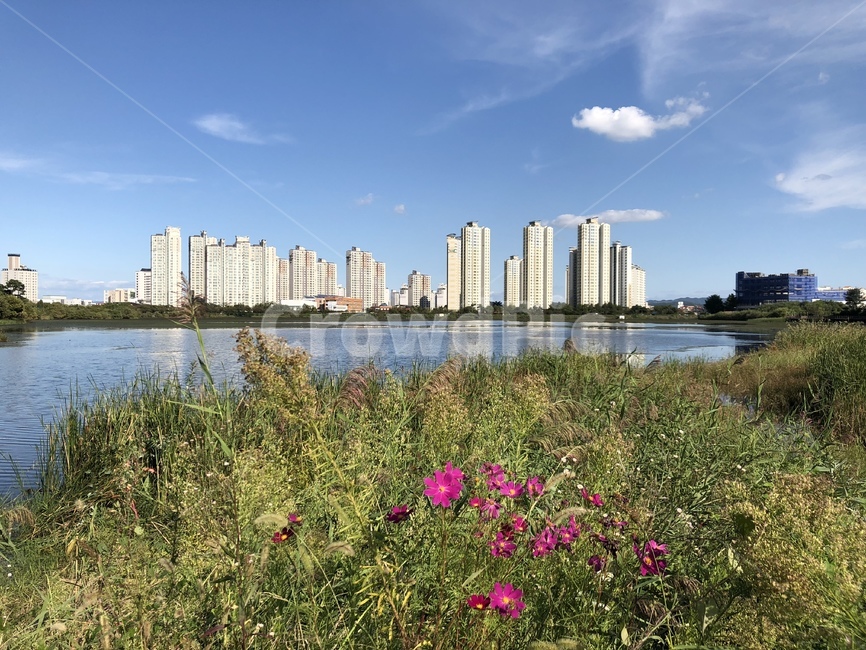 오송,호수,풍경,자연풍경,아파트풍경