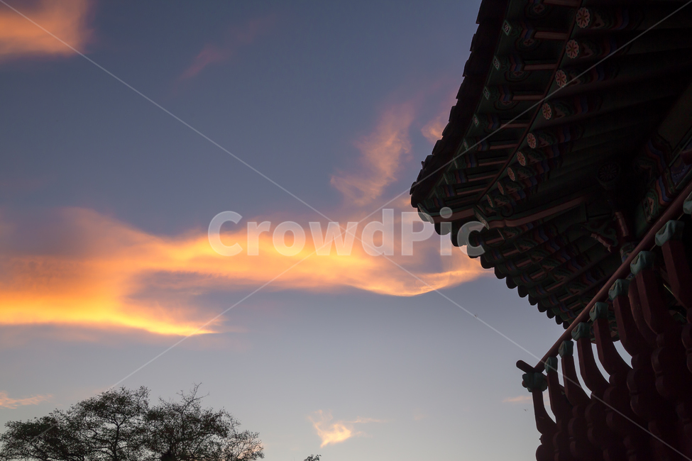 서울,응봉산,팔각정,정자,구름,노을,한국전통,한국문화,korean traditional,korean culture,건축물,건물외관,exterior,building,structure,architecture,construction