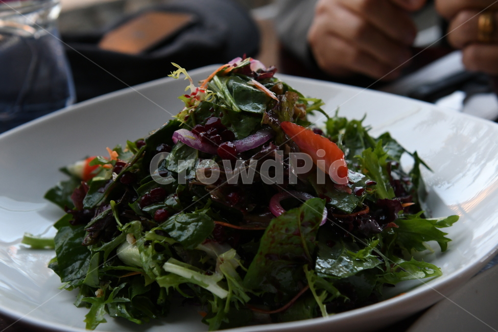샐러드,야채,야채샐럳,몽골음식,음식,건강,음식,식재료,요리,food,cook,meal,dishes,food reserves,채소,야채,vegetables