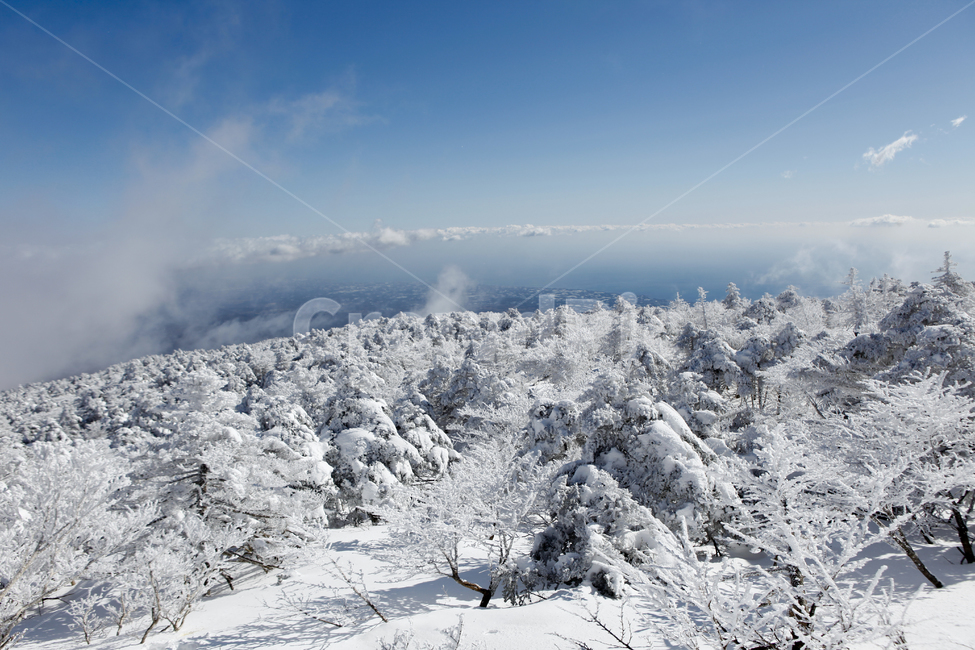 겨울,한라산,설경,자연,눈꽃,겨울,계절,winter,season,자연,풍경,nature,landscape,outdoors,옥외,mountain,산