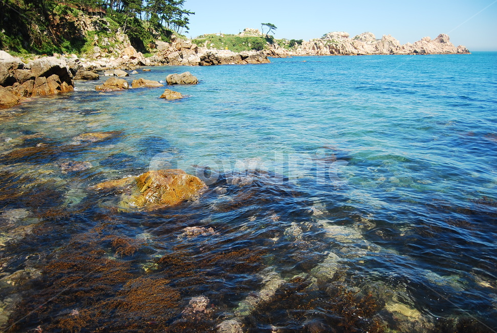 자연,바다,풍경,해변,대왕암,여름,자연,풍경,nature,landscape,한국자연풍경,한국자연경관,korea nature landscape,promontory,곶,water,물