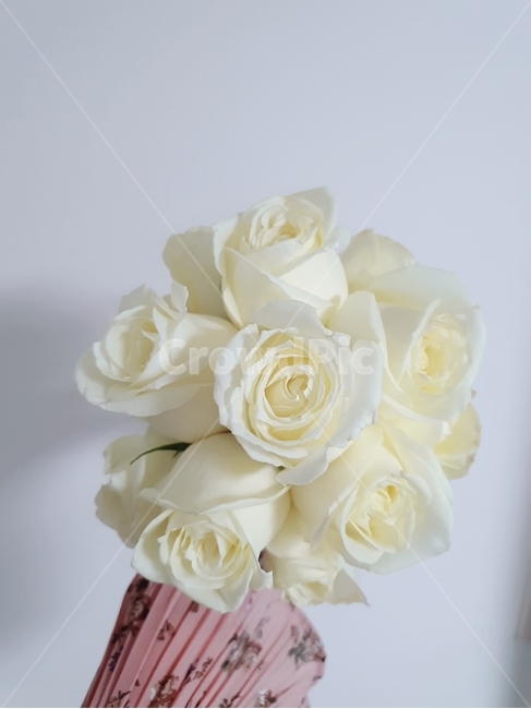 꽃,플라워,부케,flower,봄,설레임,꽃,flower,기념일,축하,anniversary,congratulation,celebrate,celebration