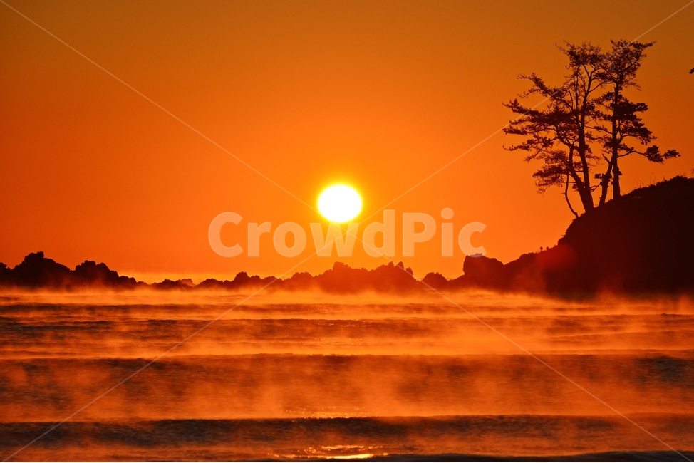 nature,자연,outdoors,옥외,sky,하늘,dawn,새벽,redsky,붉은하늘,sunlight,햇빛,울산,울주,명선도,명선도아침,일출,해돋이,여명,소나무,물안개,파도,강양항,자연,풍경,nature,landscape