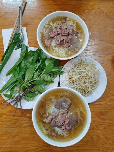 food,음식,쌀국수,pho,noodle,국수,vietnam