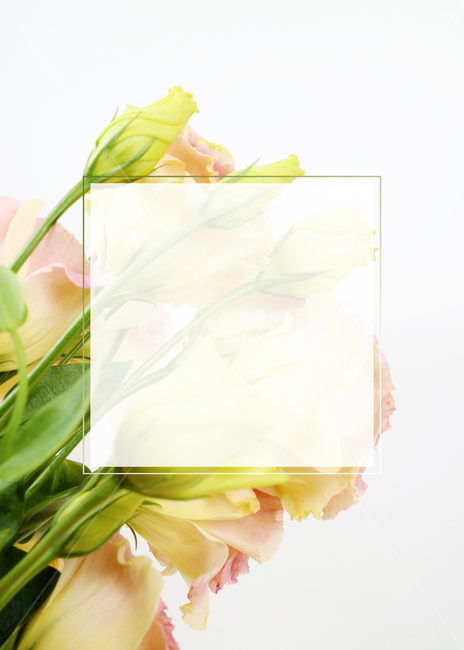 꽃,봄,식물,백그라운드,배경,배경이미지,flower,background,봄배경,꽃배경,plant,nature,프레임