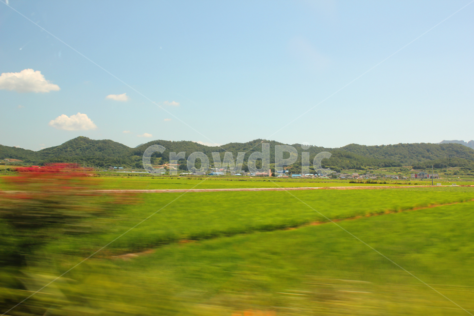 하늘,스카이,파랑,블루,파란색,자연,풍경,구름,산,한국,논,농경지,농사,모션,농촌,농촌마을,시골,먼산,녹색,그린,초록색,풀,식물,마을,자연,풍경,nature,landscape,한국자연풍경,한국자연경관,korea nature landscape,outdoors,옥외,grassland,목초지,field,들