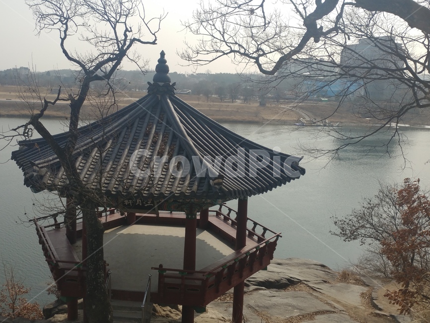 겨울,쓸쓸한,winter,호수,앙상한,육각정,한국전통,한국문화,korean traditional,korean culture,건축물,건물외관,exterior,building,structure,architecture,construction