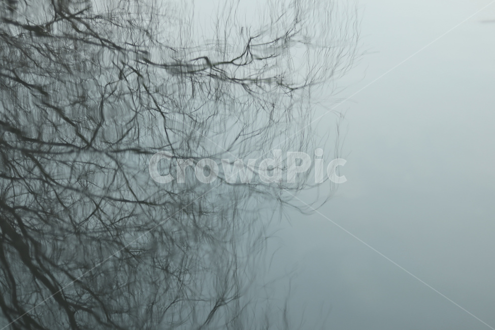 자연,nature,물,water,저수지,호수,반영,그림자