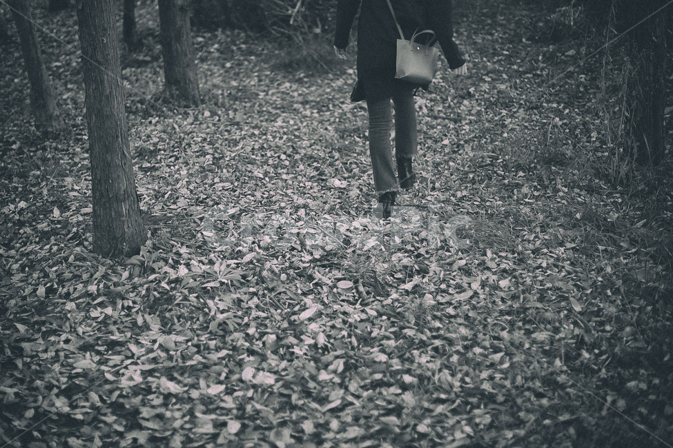 가을,낙엽,길,걸음,숲,여자,사람,가을,계절,fall,autumn,season,사람,인물,인간,human,person,여성,여자,woman,female,lady,흑백,모노톤,monochrome,black and white,ground,바닥
