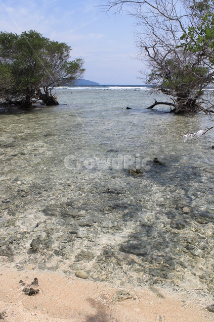 인도네시아,길리,해변,나무,나무해변,indonesia,gili,beach,beachandtree,vacation,nature,sea,고즈넉