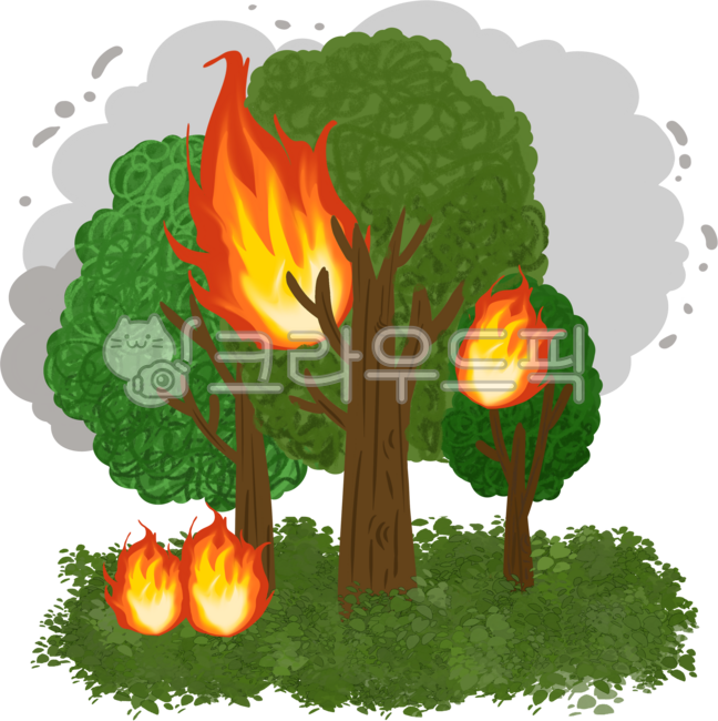 Forest fire,fire safety,forest fire safety,flames,fire play,fire