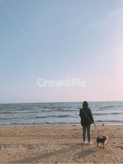 산책바다,바람,하늘,쓸쓸함,맑음,해변,바다,beach,sea,사람,인물,인간,human,person