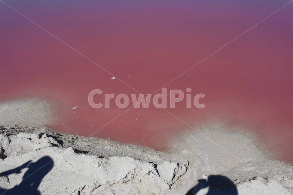 pink,mexico,Yucatan,Mexico,Pink Lagoon,lake