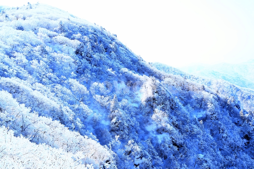 덕유산,산,눈,설경,곤도라,향적봉,겨울,계절,winter,season,자연,풍경,nature,landscape,outdoors,옥외