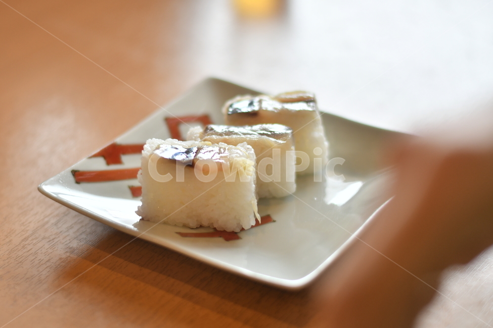 청어,herring,초밥,sushi,food,음식,dish,음식,식재료,요리,food,cook,meal,dishes,food reserves
