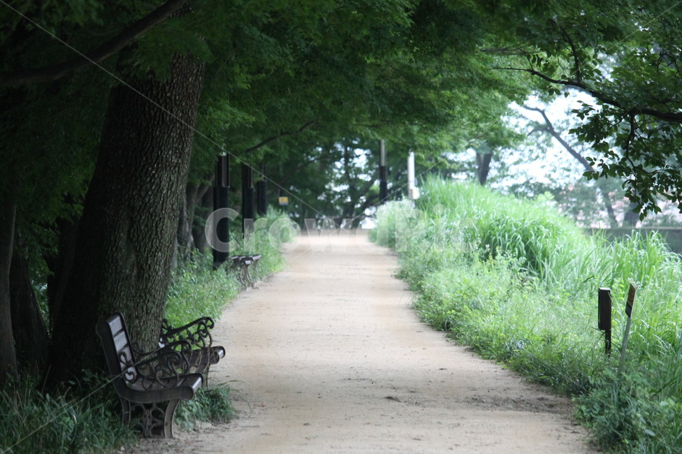 여행,출사,여유,풍경,전경,푸른,하늘,숲속,벤치,의자,건물,도심,도심풍경,자연,풍경,nature,landscape,bench,garden,정원,outdoors,옥외