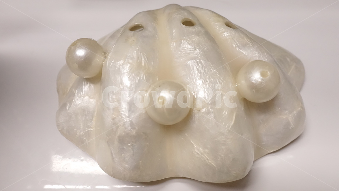 진주,조개,soapdish,soapstand,비누받침대,예쁜,이쁜,예쁜쓰레기,보석,jewelry,pearl,accessory,부속물,보석류,accessories,부속품
