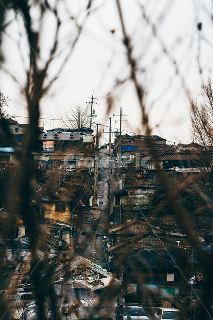 백사마을,풍경,감성,감성사진,골목길,나뭇가지,언덕길,시골,마을,풍경,landscape,country,rural,town