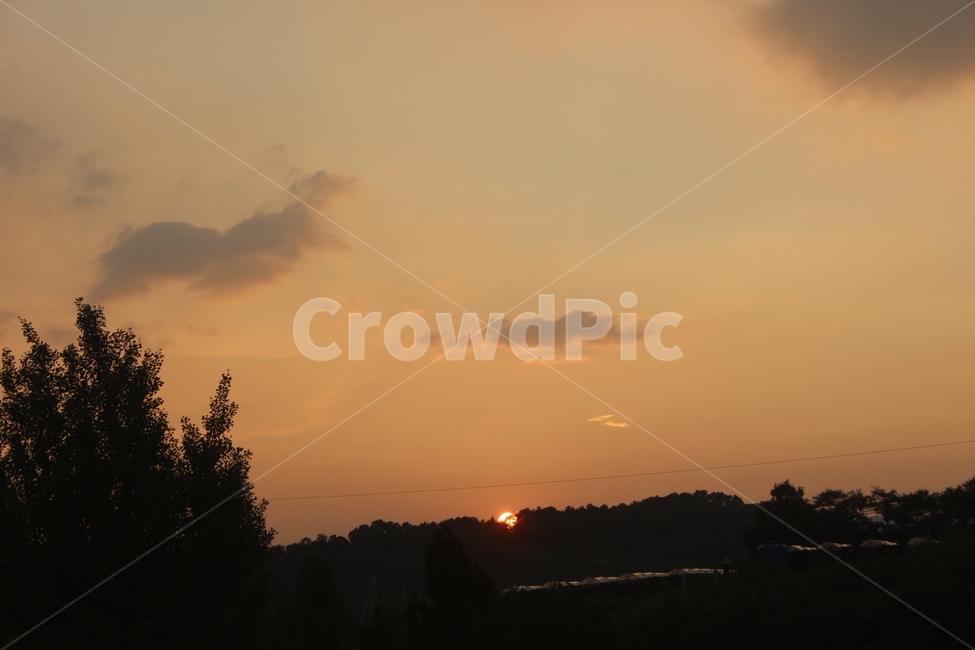 nature,자연,plant,식물,tree,나무,outdoors,옥외,노을,시골,풍경,하늘,배경,자연,풍경,nature,landscape