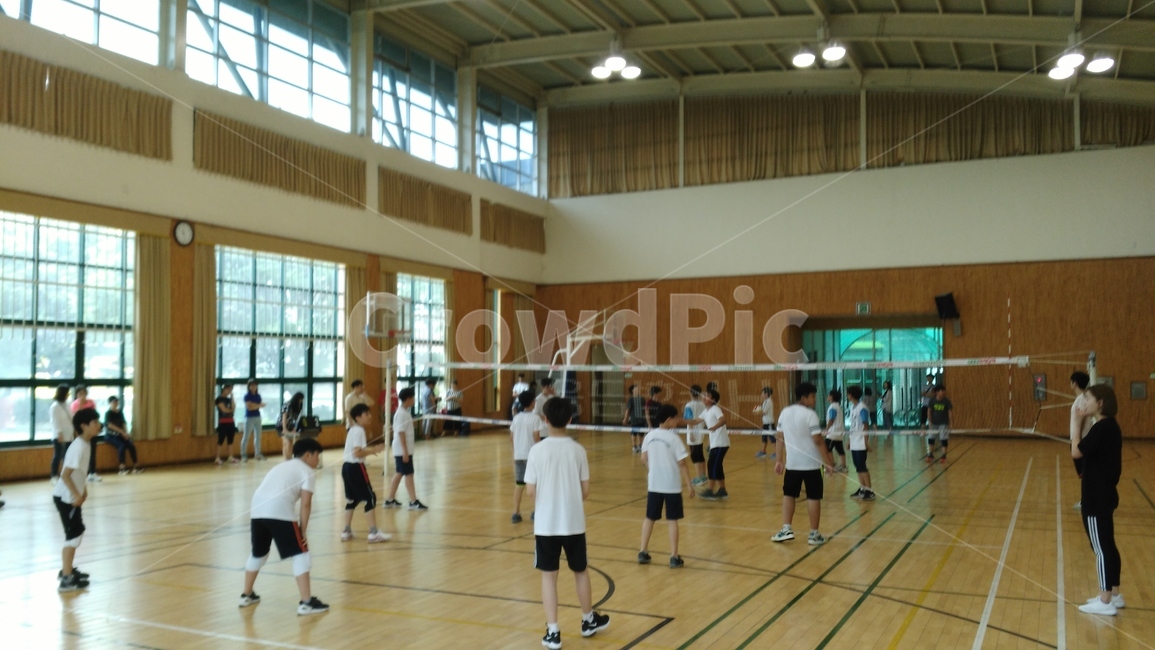 배구,소녀,소년,응원,네트,체육관,실내,운동,화이팅,스포츠,레저,운동,sports,leisure,exercise