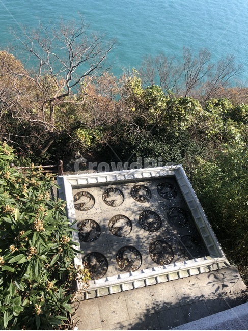 바다,나무,자연,여수,풍경