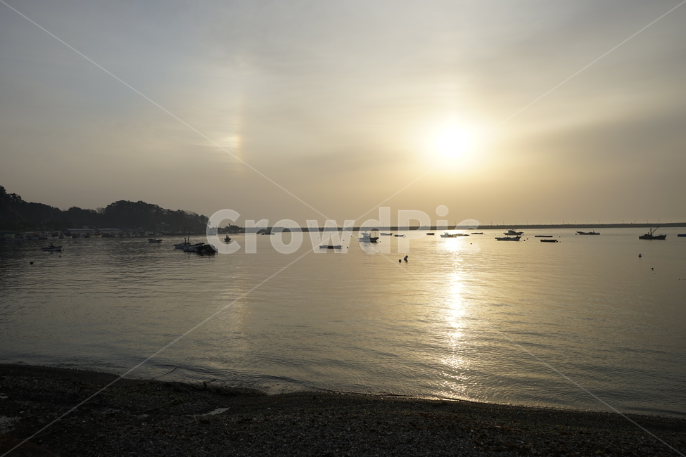 일출,바다,포항,어선,배,지평선,산업,industry,industrial,어업,fishery,fishing industry