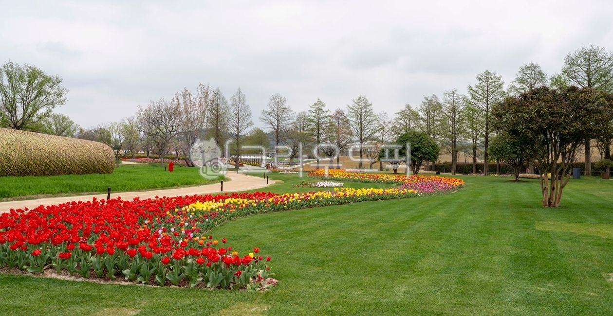 sky,greenfield,new leaf,garden tree,sprout,Tulip,tree,flower garden,flower road,grassland,flower,mountain,tree trunk,panorama,field,light green,road,grass,colonnade,tulip flower,garden,lawn,park