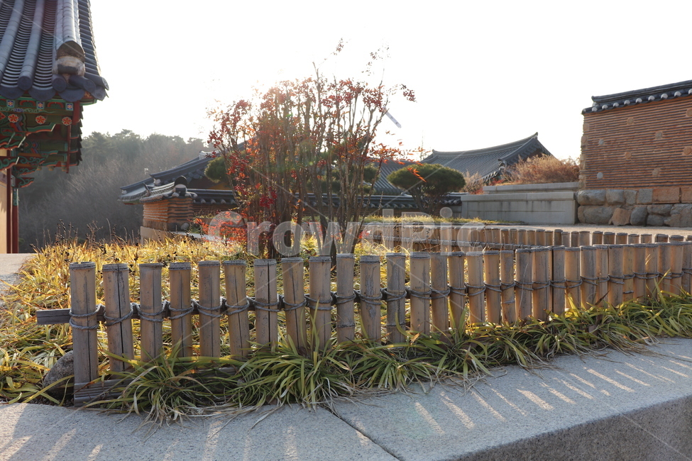 building,건물,architecture,건축물,worship,신사,shrine,신전,temple,예배,절,전통,traditional,한국전통,한국문화,korean traditional,korean culture