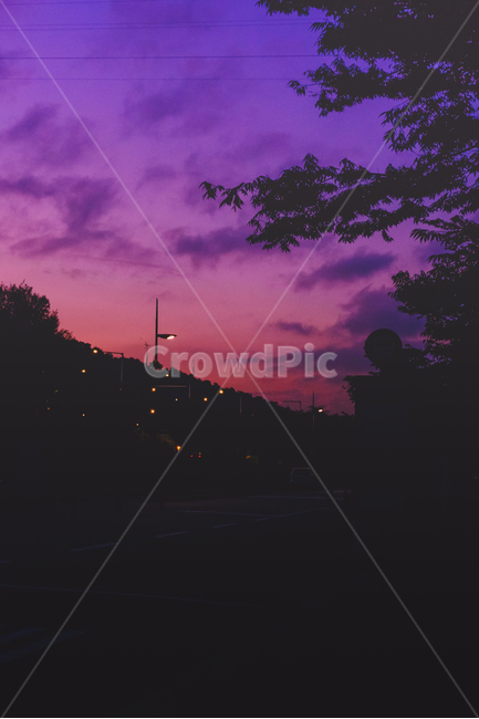nature,자연,outdoors,옥외,color,purple,pink,자연,풍경,nature,landscape,색깔,색상,색채,색감,color sense,color sensitivity,feeling of color