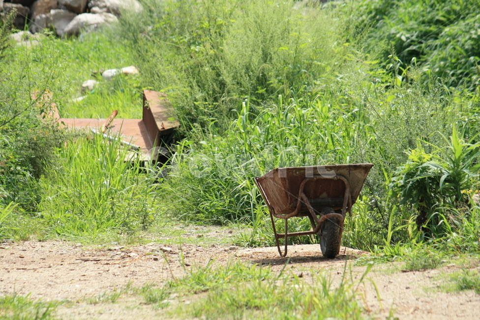 수레,손수레,wheelbarrow,barrow,오래된수레