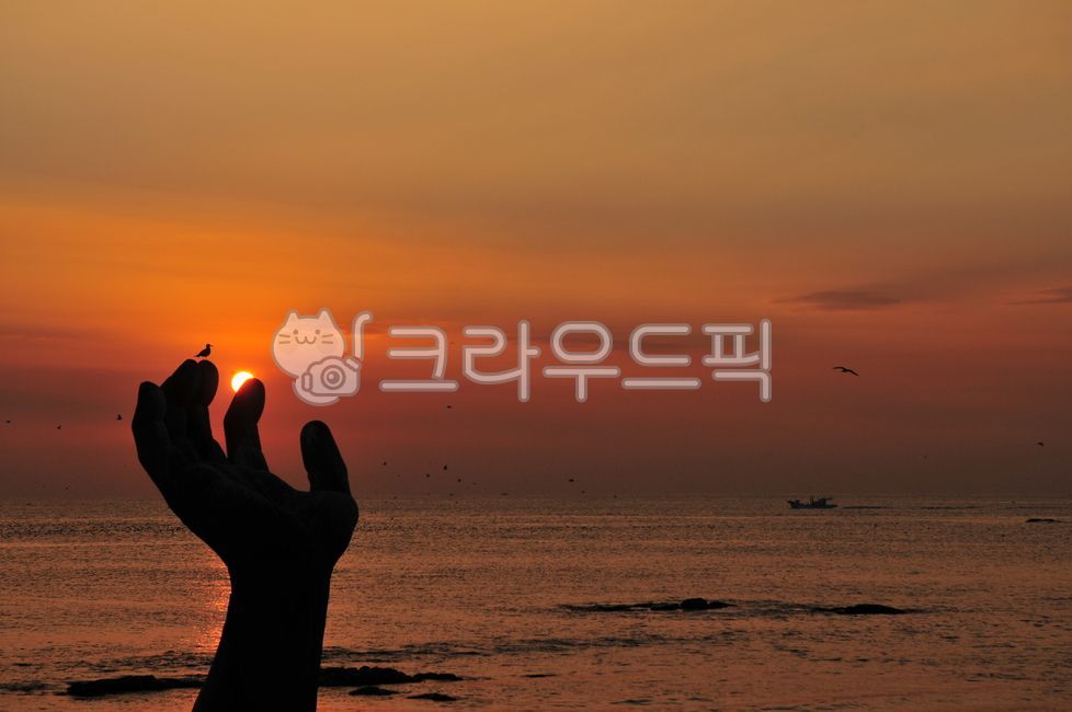 일출,해돋이,실루엣,동해일출,동해안일출,동해해돋이,호미곶