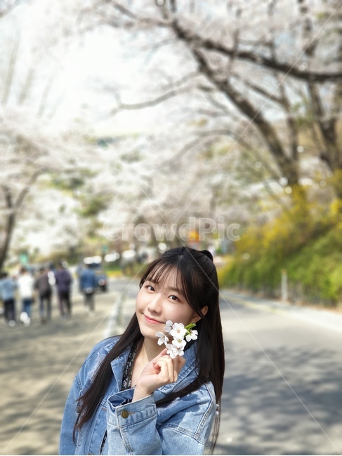 인간,person,사람,꽃,남산,벚꽃,봄,계절,spring,season,사람,인물,인간,human,person,얼굴표정,facial expression,face,여성,여자,woman,female,lady