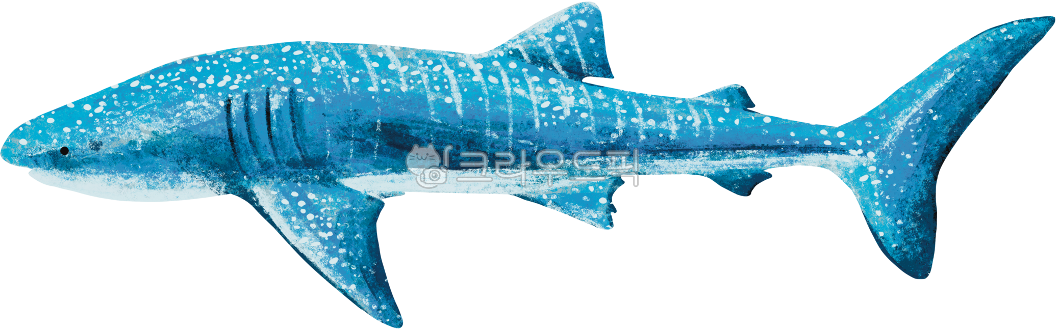 고래상어,바다,아쿠아리움,whaleshark,일러스트,오일파스텔,물고기,그림,고래,상어,해양생물