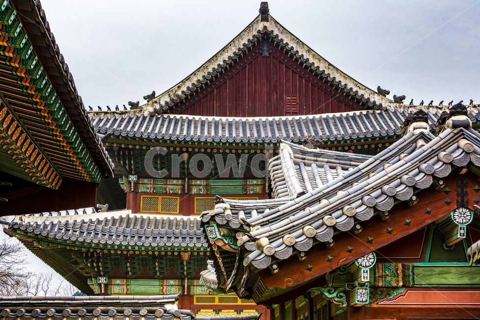 Cultural Heritage,Palace,tile roof,Changdeokgung Palace,tile,Injeongjeon,traditional architecture,old palace,building,traditional house