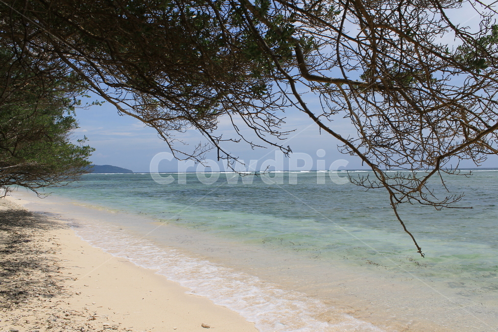 인도네시아,길리,해변,나무해변,나무,indonesia,gili,beach,treeandbeach,treeonthebeach,vacation,고즈넉