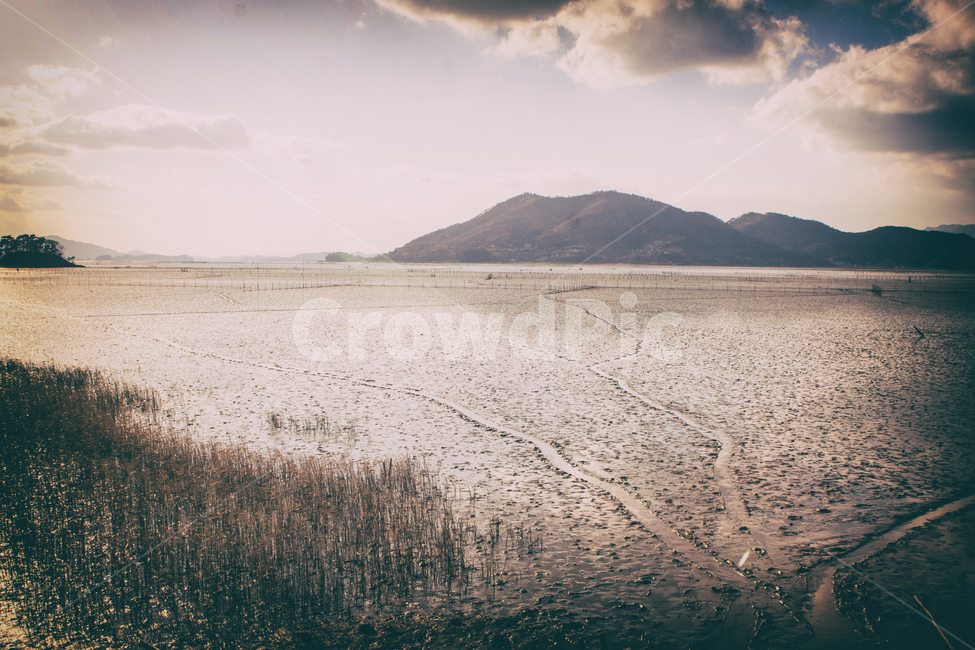 갯벌,만,바다,해안,자연,산,풍경,해질녘,일몰,태양,하늘,구름,해,햇빛,bay,sea,coast,mountain,nature,landscape,sunset,sunfall,sun,sky,cloud,sunlight,갈대,reed,자연,풍경,nature,landscape,한국자연풍경,한국자연경관,korea nature landscape,해변,바다,beach,sea,감성,sensible,feeling,outdoors,옥외