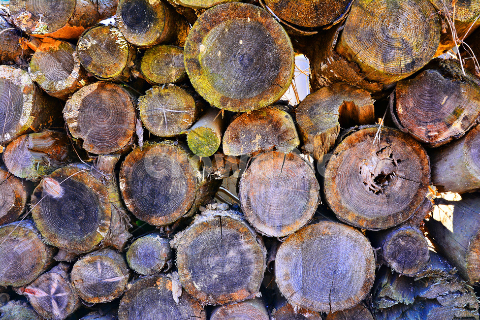 텍스쳐,패턴,나무,바탕,빈티지,배경,나뭇결,wood,백그라운드,질감,표면,texture,background,pattern,vintage,흔적,무늬,나이테,통나무,오래된,올드,old,낡은,나무,trees,wood,텍스처,질감,패턴,texture,pattern