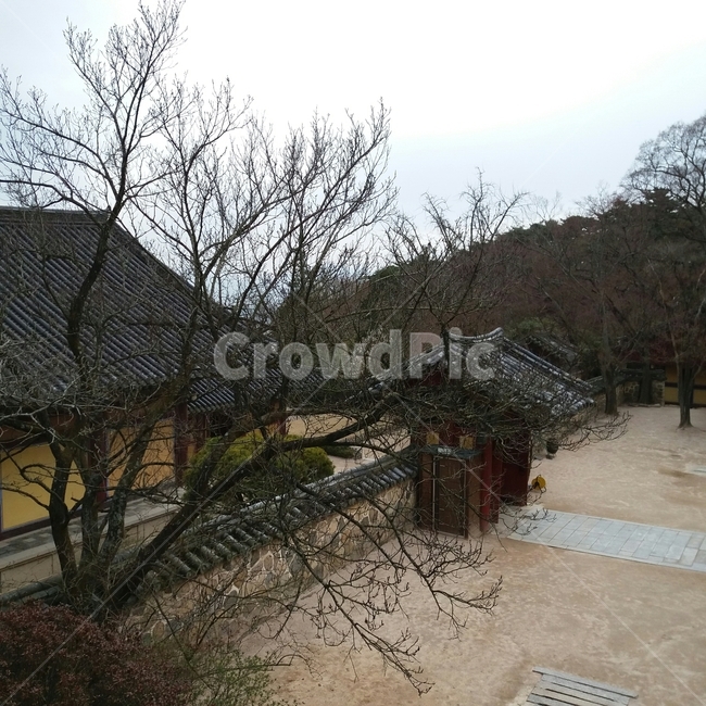 한지방,건물,대학민국,힐링,지붕,전통가옥,한국전통,한국문화,korean traditional,korean culture