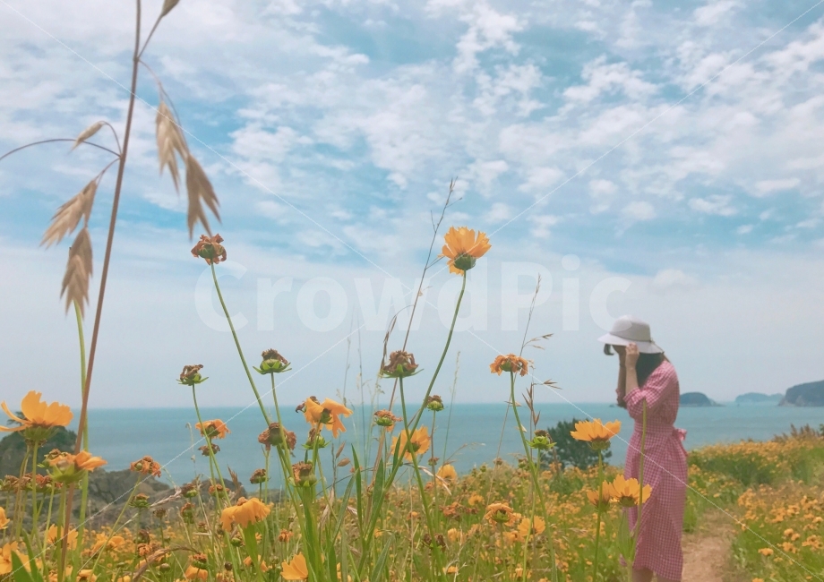 인물,사람,색감,분위기,하늘,자연,여행,외도,거제도,외도보타니아,국내여행,풍경,사진,힐링,데일리룩,패션,꽃,자연,풍경,nature,landscape,여행,휴가,traveling,vacation,trip,식물,plants,꽃,flower,사람,인물,인간,human,person,여성,여자,woman,female,lady,감성,sensible,feeling,field,들,grassland,목초지,outdoors,옥외