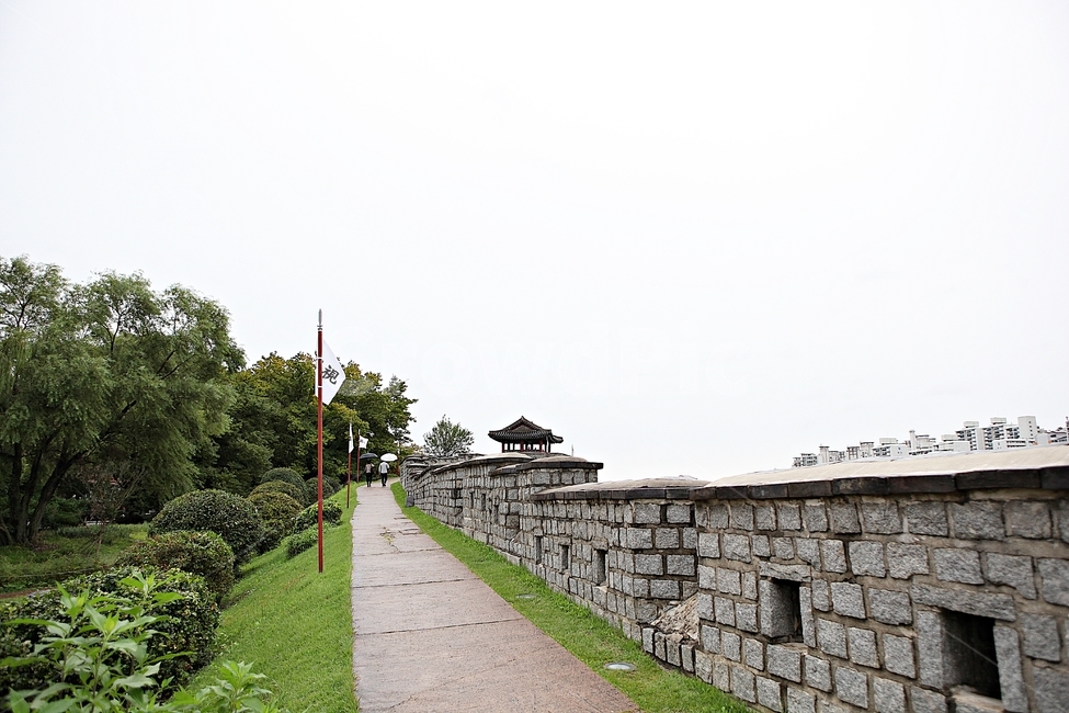 수원화성,성,성곽,길,둘레길,돌담,담,가을,자연,풍경,벽,방어벽,전통,흙담,식물,나무,산성,한국전통,한국문화,korean traditional,korean culture