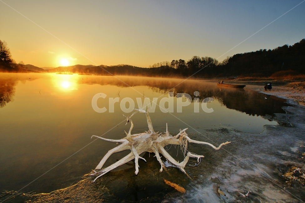 대청호,일출,대전관광,풍경,삼정동,자연,풍경,nature,landscape,wood,나무,outdoors,옥외,water,물