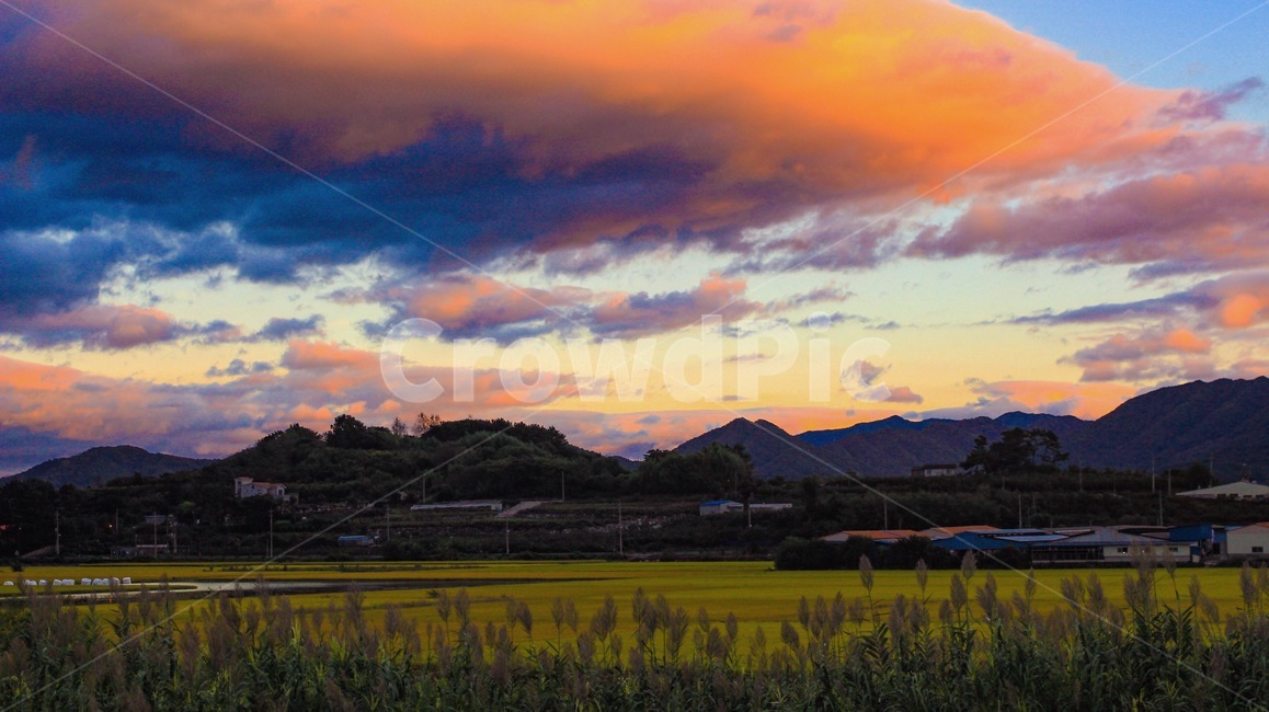 주남저수지,일몰,석양,노을,가을,감성,구름,들판,가을,계절,fall,autumn,season,자연,풍경,nature,landscape,한국자연풍경,한국자연경관,korea nature landscape,시골,마을,country,rural,town,outdoors,옥외